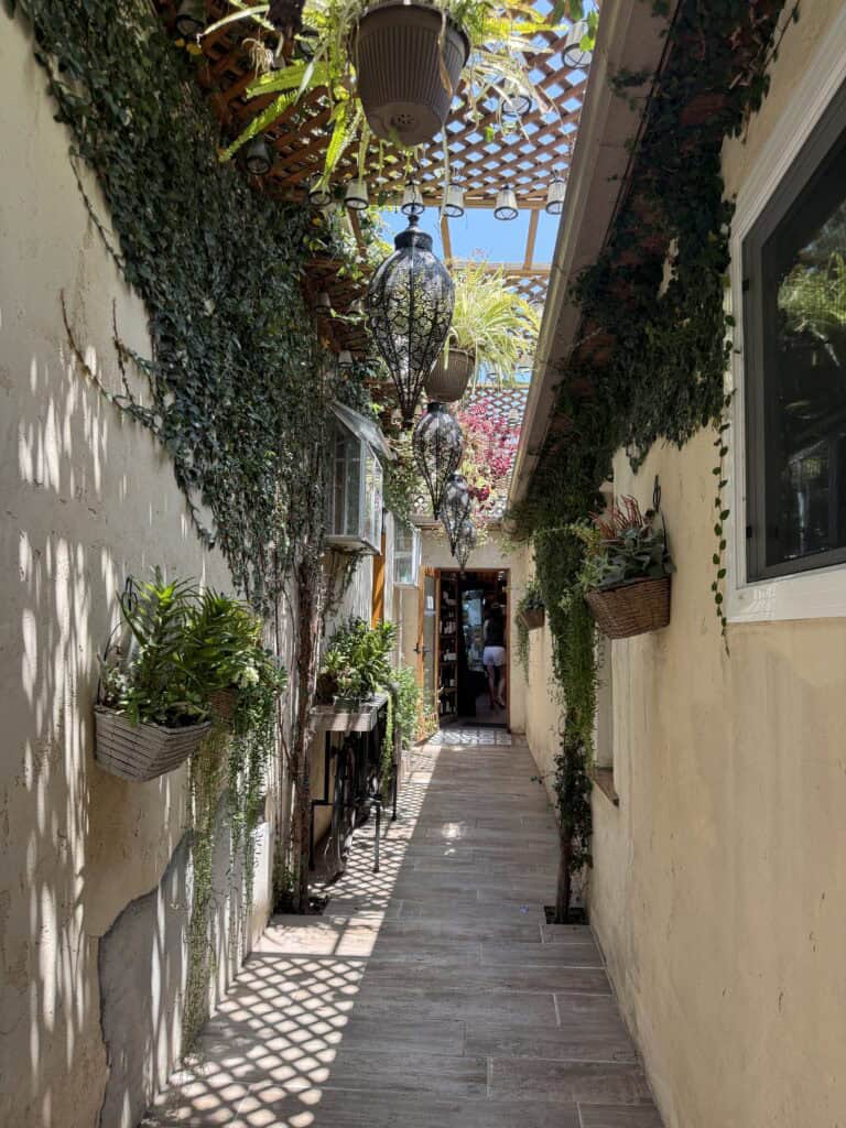 Best brunch spots in LA -layers of beauty